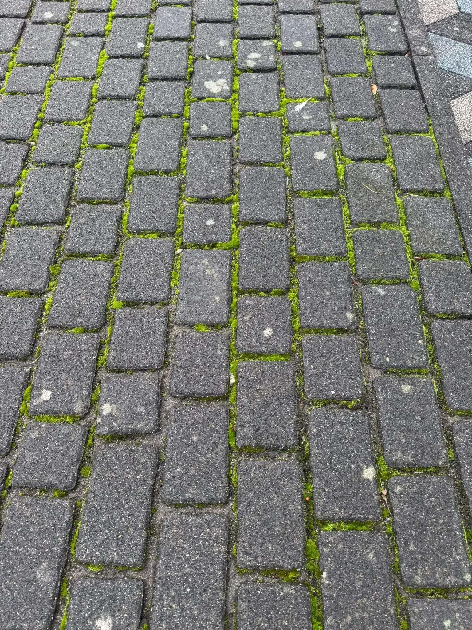 Reinigung