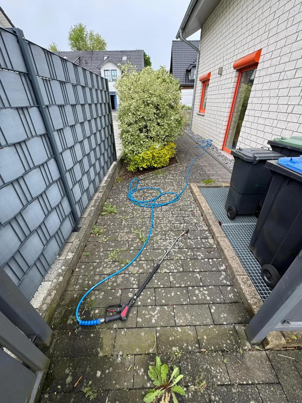 Project 31 - Before