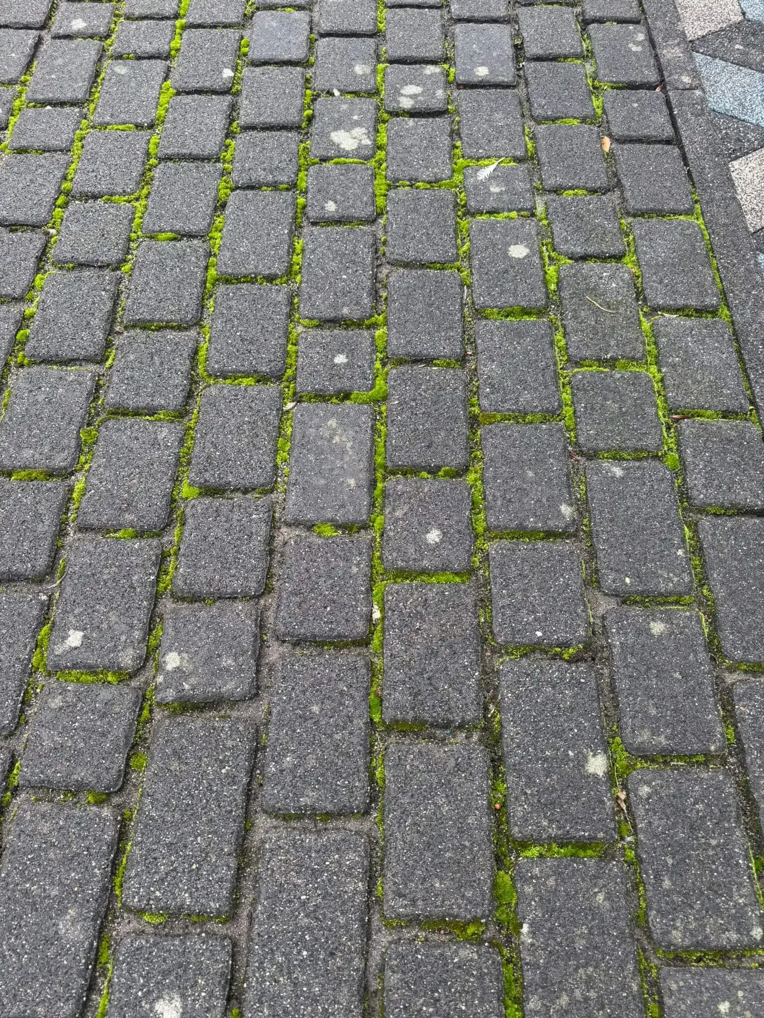 Project 8 - Before
