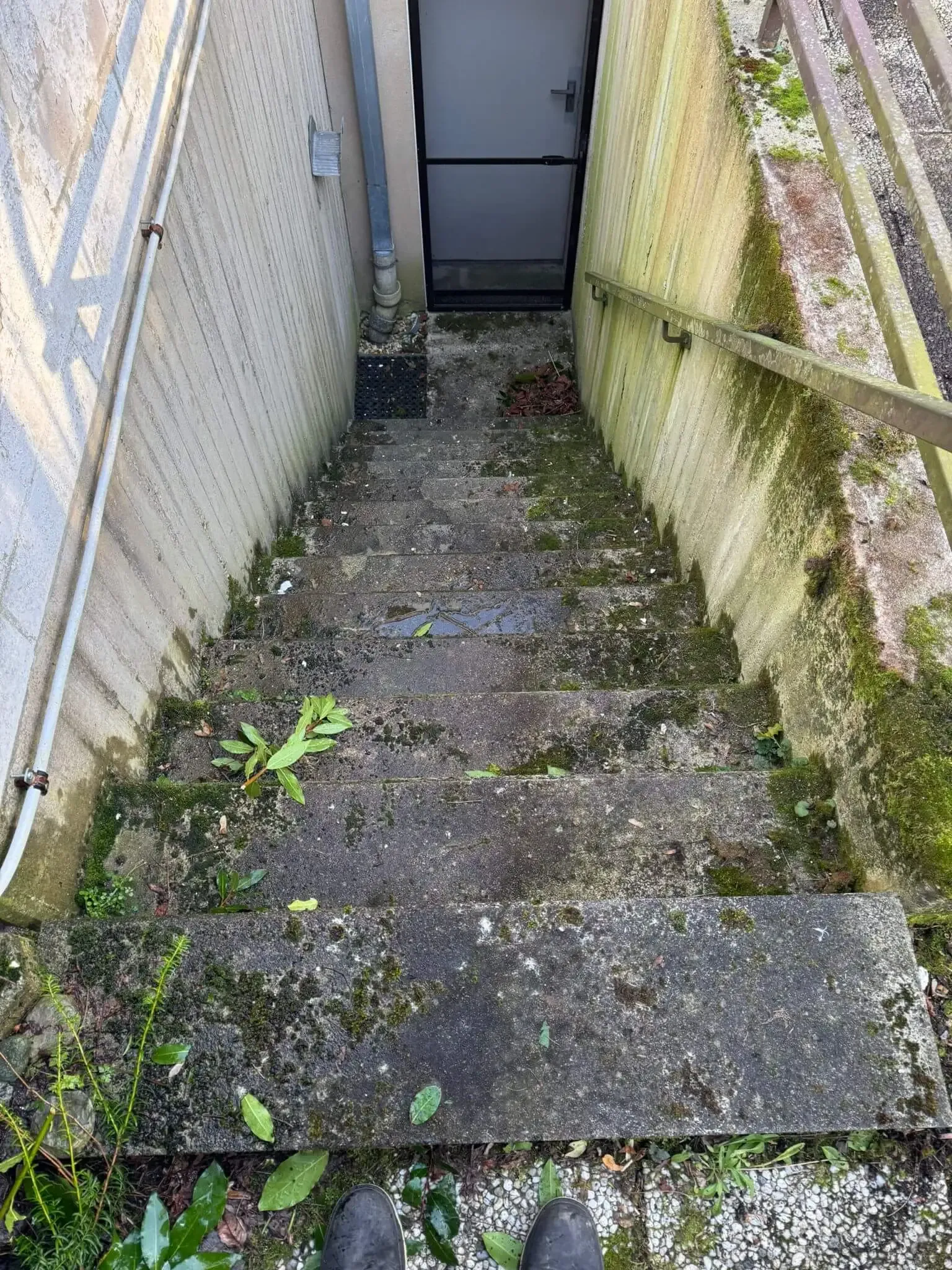 Project 9 - Before
