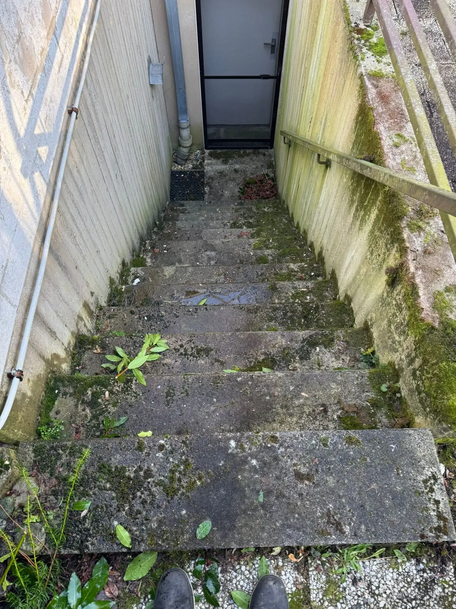 Before Steinreinigung Beispiel